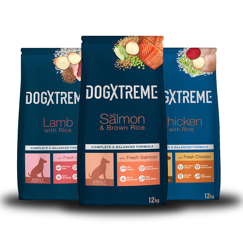 Kuivaruoka DogXtreme aikuisille 12kg